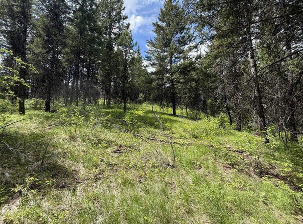 TBD KNOB HILL RD, REPUBLIC, WA 99166
