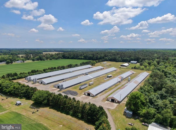 33950 EVANS ROAD, LAUREL, DE 19956