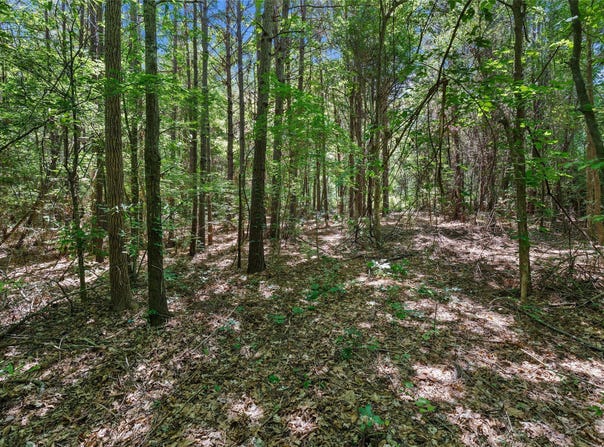 County Rd 3363, De Berry, TX 75639