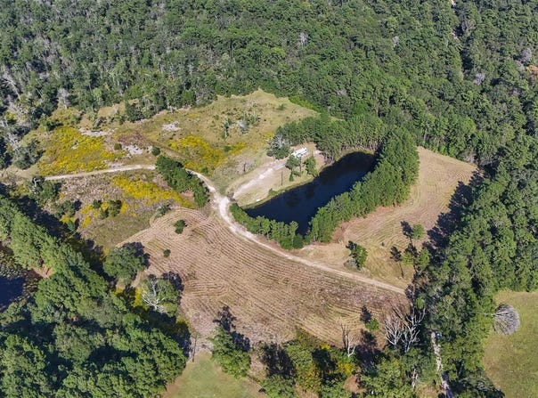 1615 Bob Williams road, Thicket, TX 77374