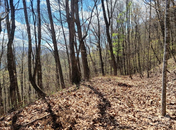 Skyline Drive, Waynesville, NC 28786