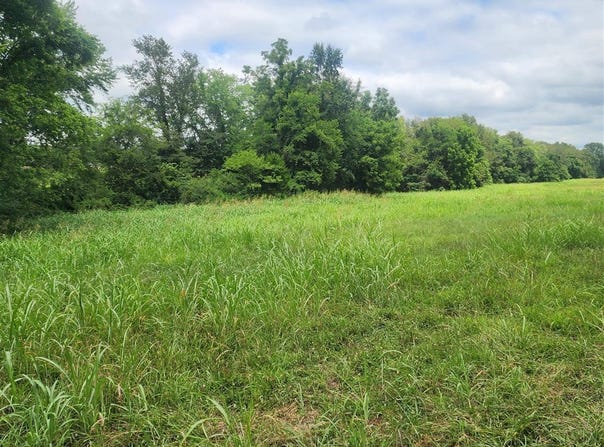00 Turner Ford Road, Franklin, KY 42134