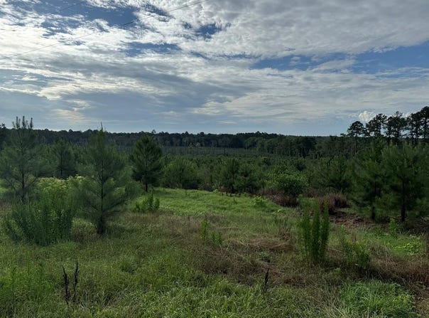 275 Lewis Ln, Cairo, GA 39828
