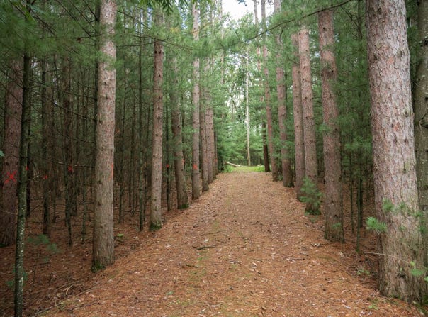 W1519 Rainbow Lane lot: 3 & 4, Wisconsin Dells, WI 53965