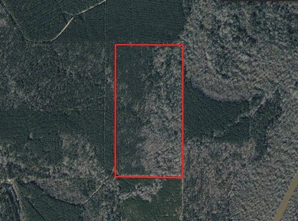 TBD Lincecum Church Rd., Pollock, LA 71467