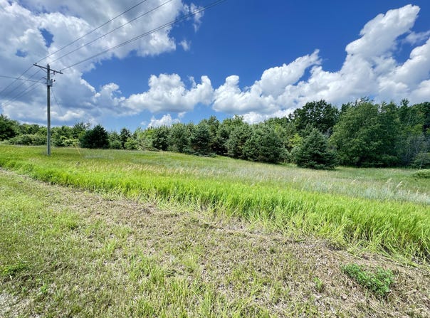 4 Acres E 48th Street, Chase, MI 49623