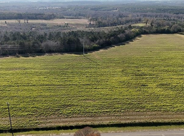 Lot 7 Gilley Mill Road, Headland, AL 36345