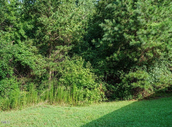 Tbd St Luke Church Road, Goldston, NC 27252