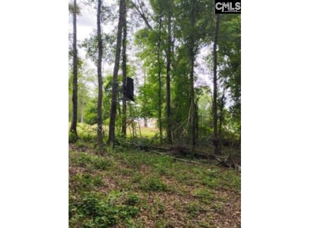 Double Pond Road, Blackville, SC 29817