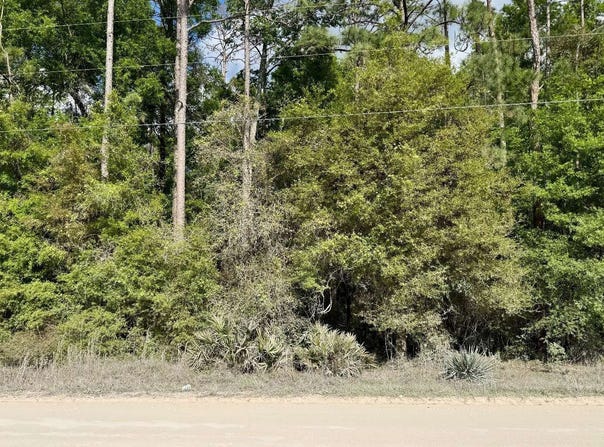 OBrien, FL 32071