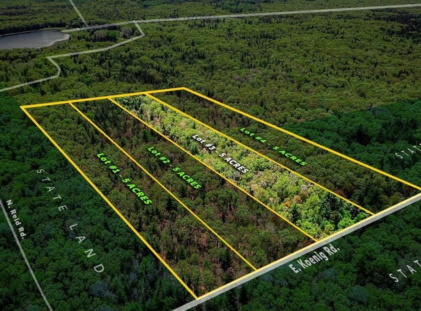 Lot 3 E Koenig Road, Free Soil, MI 49411
