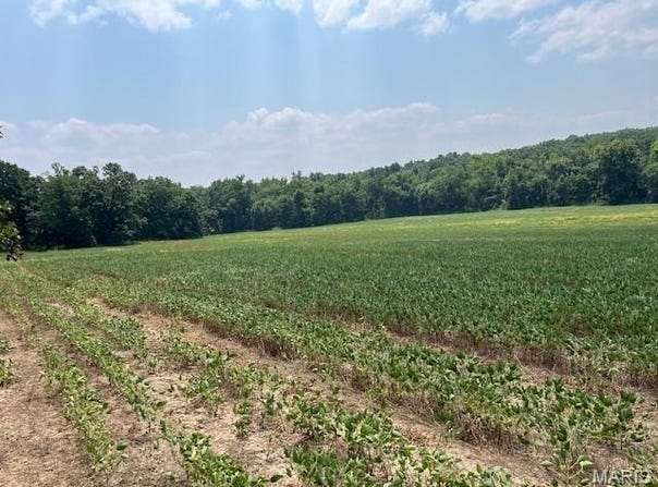 00 Elk Head Road, Bland, MO 65014