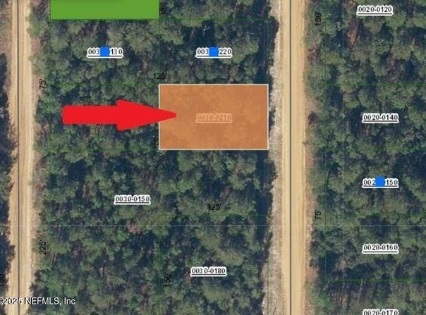 00 CREAGER AVE, Interlachen, FL 32148