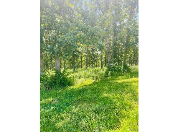 0 Krausetown Road, Owensville, MO 65066