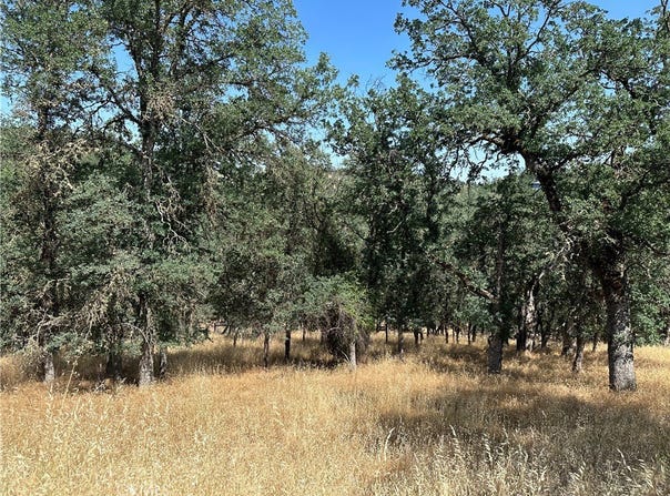 18051 Vista Point Court, Hidden Valley Lake, CA 95467