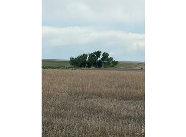 Peoria Crossing Rd, Wiggins, CO 80654