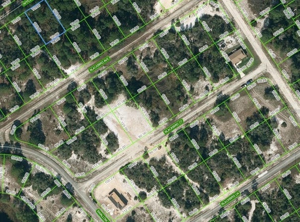 447 APPLE BLOSSOM COURT, LAKE PLACID, FL 33852