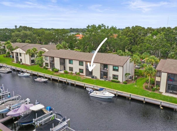 358 Moorings Cove Drive, Tarpon Springs, FL 34689