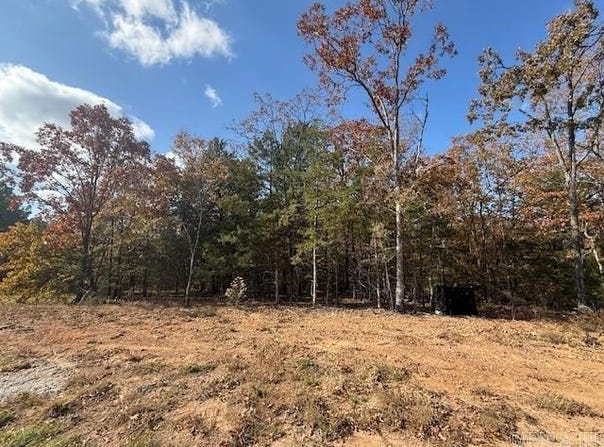 46 Summer Sky Drive, Greenbrier, AR 72058