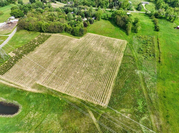 136 E Snow Road, Baroda, MI 49101