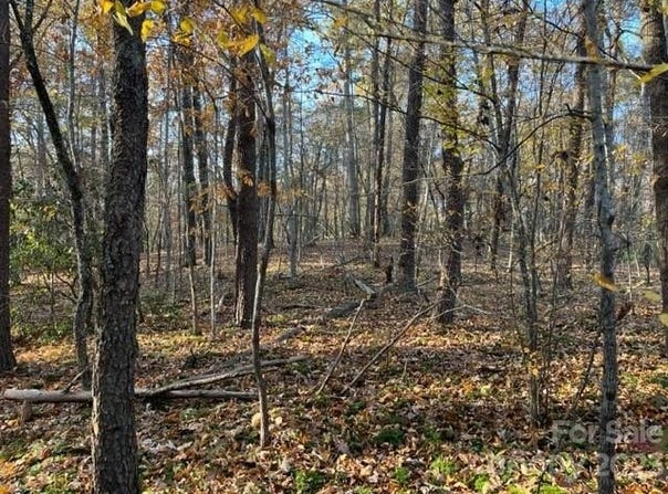 Shady Lane, Mill Spring, NC 28756