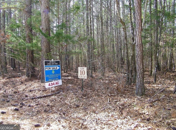 Lot 10 Blackberry Bend, Elberton, GA 30635