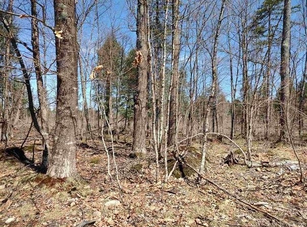 TBD Black Creek Road, Skanee, MI 49962