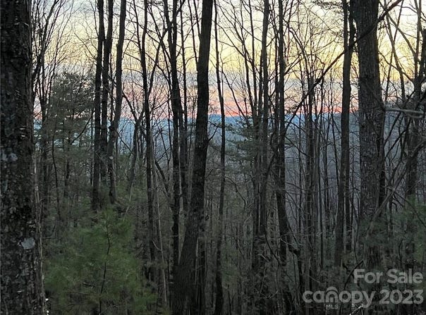 Taylorsville Road unit: Tract 1, Taylorsville, NC 28681