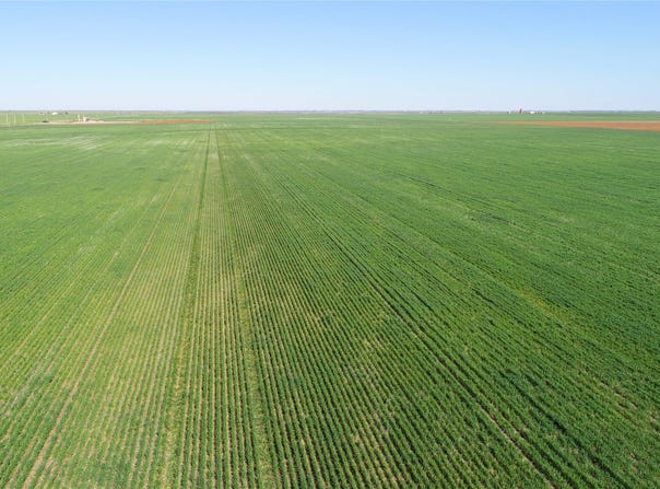 County Rd 81 S, Vernon, TX 76384