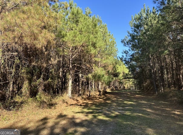 0018 Barnes, Gordon, AL 36343