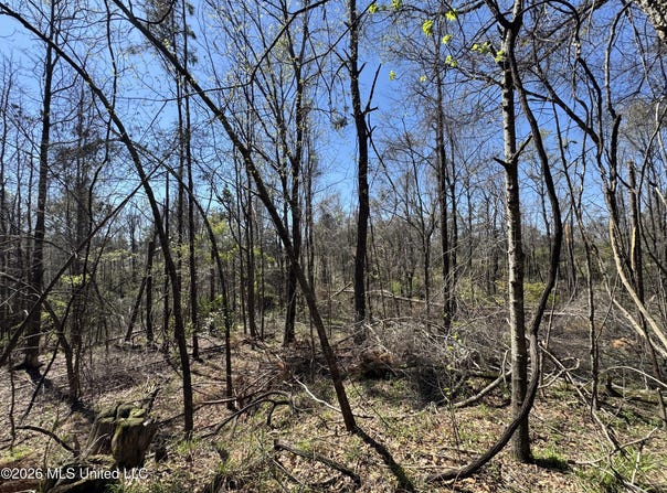 N Circle Road, Lexington, MS 39095