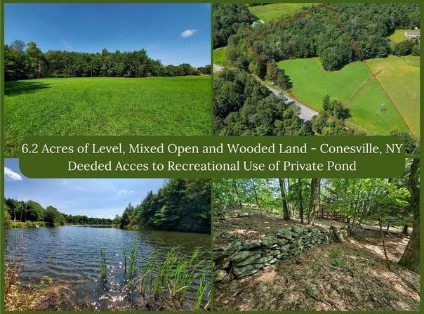 Bull Hill Road lot: 10, Gilboa, NY 12076