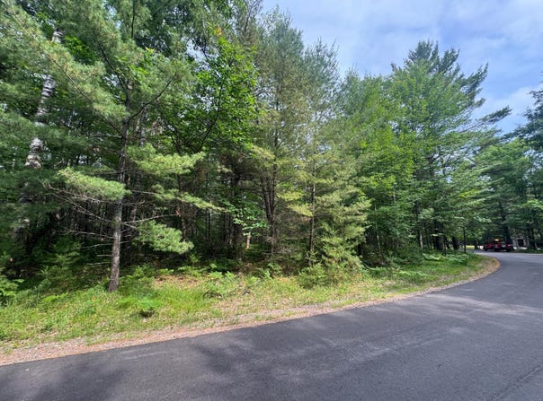RIDGEWOOD DR lot: #288, Minocqua, WI 54548