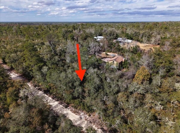 NE 233RD Lane, FORT MC COY, FL 32134