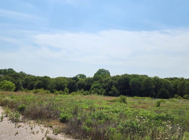 301 Timber Trail, Alvord, TX 76225