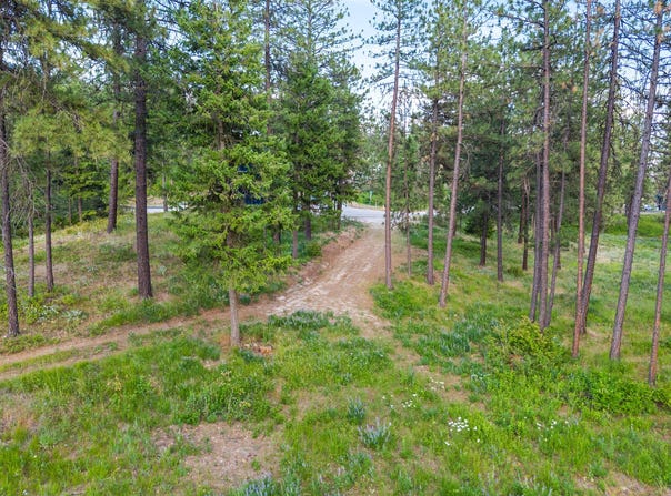 694 PALMER LN, CHEWELAH, WA 99109
