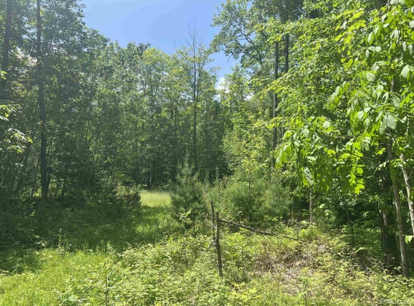 TBD 40 Acres Wilderness, Crystal Falls, MI 49920