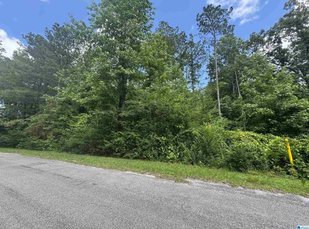 0 COUNTY ROAD 88, GUIN, AL 35563