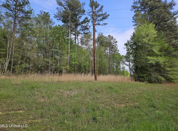 Hwy 43, Silver Creek, MS 39663