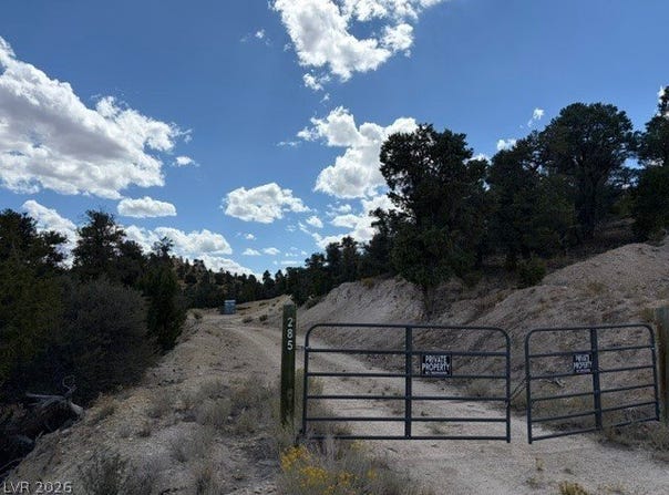285 E Ward Mountain Drive, Ely, NV 89301