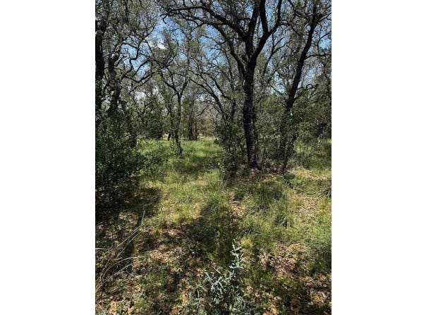 109 Iron Horse, Horseshoe Bay, TX 78657