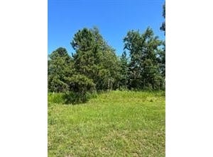 28 Autumn Ct lot: 28, Dover, AR 72837