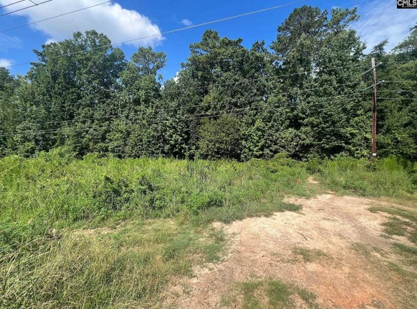 0 Roper Mountain Court, Lexington, SC 29073