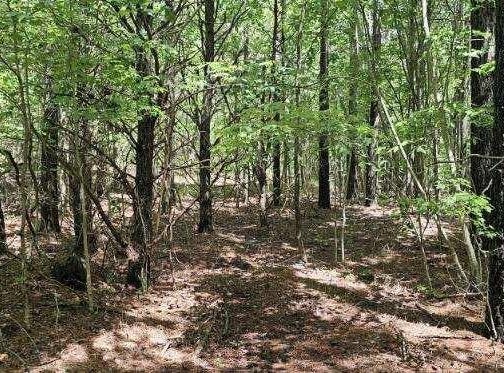 0 Sunset Rd, Spencer, TN 38585