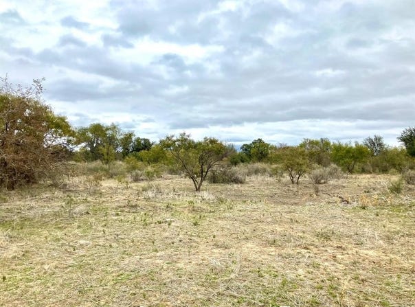 25ac Tract 4 Hwy 6, Moran, TX 76464