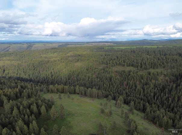 Tbd Mccormick Ridge Road, Lapwai, ID 83540