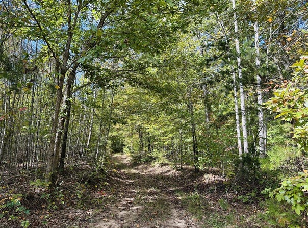 438 Mountain Top Road, New Canton, VA 23123