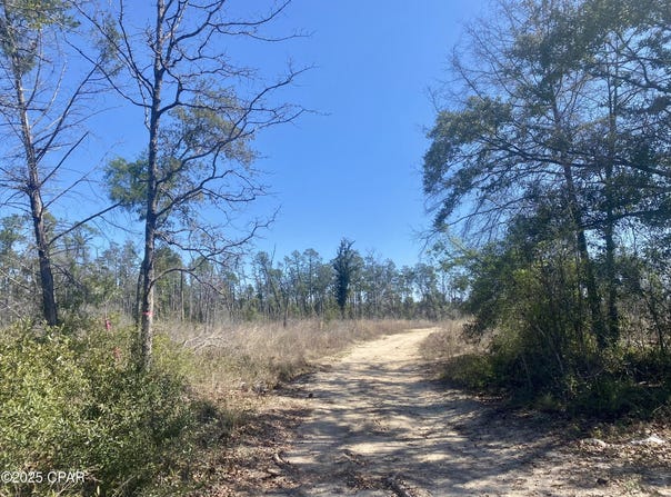50 Acres NW Sellers Road, Bristol, FL 32321