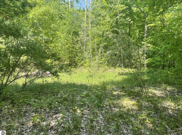5403 E Circle Drive, Rose City, MI 48654