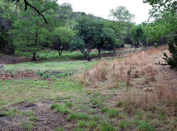 1700 Primrose, Kerrville, TX 78028